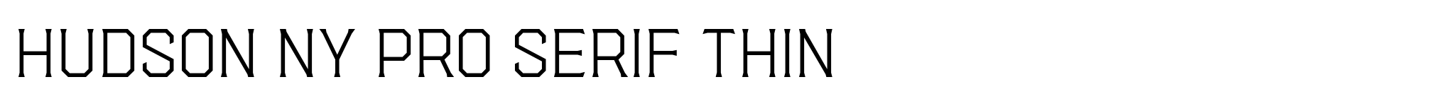 Hudson NY Pro Serif Thin image